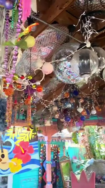 81K views · 1.9K reactions | Would you go, yes or no? #florida #floridaliving #floridalife #hiddengems #palmharbor #tampabay #thingstodo #funfacts #bucketlist #floridatravel | Florida Trippers | Facebook