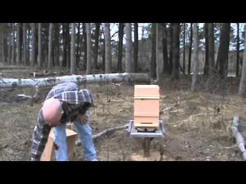 How to set up a Warre hive