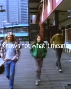 In Bloom - Nirvana (Original Version) Lyrical video. I can’t lie, i much prefer this version. So raw and beautiful. Please appreciate chad chunning’s drums on this song too! Super talented. They are all so swaggy too #nirvana #kurtcobain #fypシ #altrock #viral