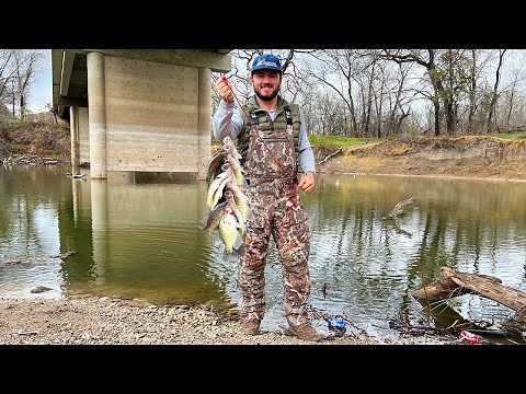 Crappie Fishing From The Bank {Catch Clean Cook} They Were STACKED