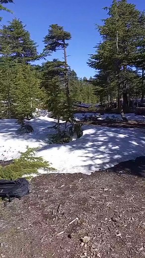 Hammad Azam on Reels