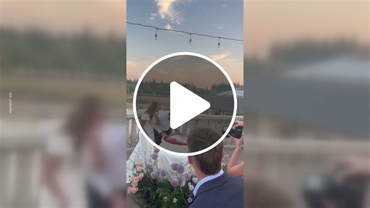Dad Pushes Bride and Groom Into the Cake - NewsBreak