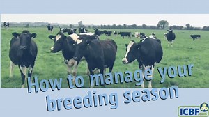 Dan O Riordan, ICBF speaks about how to manage your breeding season. He spoke at a recent Arrabawn/Teagasc dairy spring farm walk at Enda & Maura Barrett's farm in Ballinasloe, Co. Galway. The following should be considered when managing your breeding season: 1. Identify your herd's genetics 2. Define your breeding goals 3. Select a team of high EBI bulls from ICBF active bull list 4. Breed from your highest EBI females 5. Using a stock bull? - Ensure he is genotyped 6. Use the Dairy Beef Index 