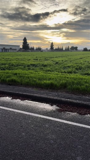 Painting Mini Bikes: A Creative Transformation