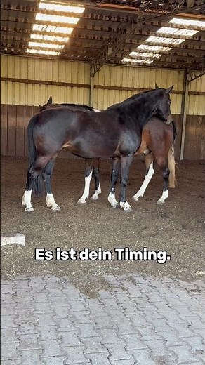 Das Problem ist nicht der Husten. Es ist dein Timing.