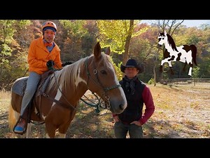 Blippi Explores a Nature Park on a Horse! @Blippi Educational Videos for Kids | Explore With Me!