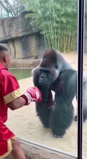 One Feint. One Swipe. Game Over. #shorts