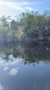 119K views · 2K reactions | Goooood morning! Today I’m deep in the Florida Everglades hunting the invasive Burmese Python with Amy the Python Huntress  | Darcizzle Offshore | Facebook