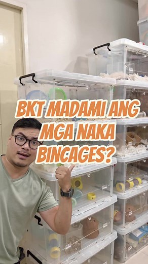 Bakit Mahalaga ang Hamster Bin Cages sa Komunidad