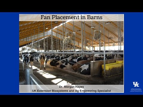 Fan Placement in Barns