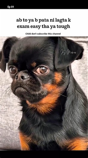 POV: Tough hi hoga | Exam Season 2026 #assamtezpur