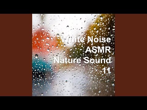 White Noise : Forest Sound for Making Your Feeling Compatable