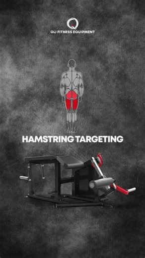 QLI PRONE LEG CURL QPLC078