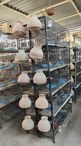 3.7K reactions · 71 shares | A Short Introduction to a Professional...