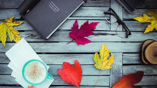 Poets Like Mary Oliver: 10 Writers for Mary Oliver Fans to Read