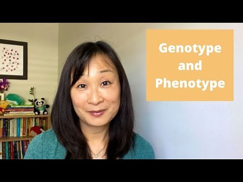 Genotype vs. Phenotype: What is the Difference?