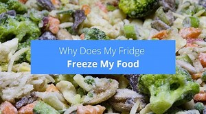 Why Does My Fridge Freeze My Food? (how to stop it & why it happens) - Check Appliance