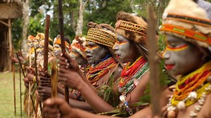 Indigenous Women in Native Costumes Dancing in Line. Papua New Guinea Stock Video - Video of warrior, festival: 381570757