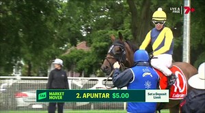 8c0bd40a-ed0a-4a4a-be7d-acf203ffb69d