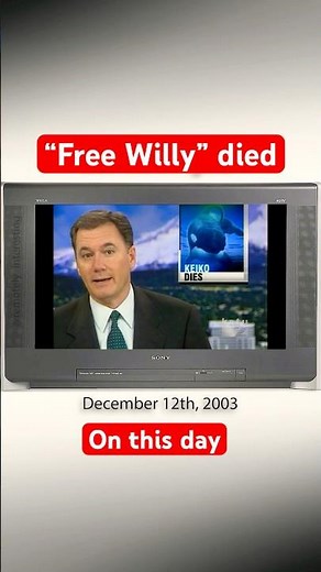 Willy died #onthisday #keiko #freewilly