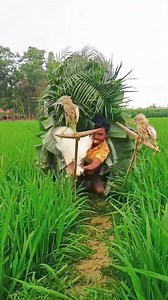 543K views · 1.1K reactions | Hunting skills #hunting | Iwu Sanctus N | Facebook