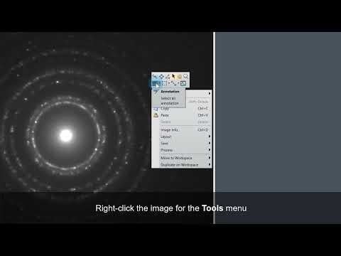Use Sticky Tools in DigitalMicrograph
