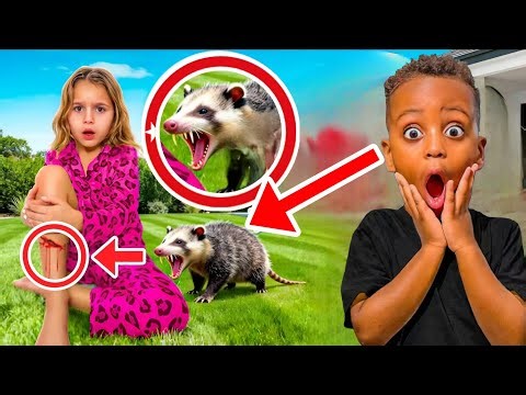A Vicious Opossum Attacked Lonnie Love! 😱 Scary Backyard Incident