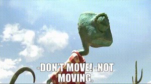 -Don't move! -Not moving.