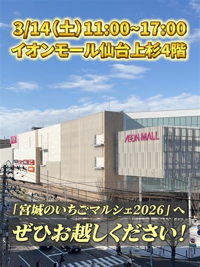 【話題情報】青葉区 🍓🍓＼控えめに言って、いちご天国すぎる……🍓🤤／🍓🍓 3月14日はイオンモール仙台上杉が いちごパラダイスになる…！🤤✨ 「みやぎの いちごマルシェ2026」 開催決定🎊 東北一のいちご産地、宮城の 本気度が強すぎる🔥 朝採れの新鮮いちご販売会はもちろん🍓 大福やジャムなど、 いちごを贅沢に使った 甘〜いスイーツも大集合🍰🍩 このラインナップ、ほんとに“全部食べたい” さらに！お買い上げで挑戦できる 「ガラポン抽選会」も開催！🎁✨ 何が当たるかドキドキ…🎯 宮城県の観光PRキャラクター 「むすび丸」もやってくるよ！🍙📸 家族みんなで楽しめること間違いなし✨ 3月14日は、あま〜い香りに包まれて 幸せな1日を過ごしに行ってみてはいかがでしょうか🌸🍓 ———————- ————————- ————————- 【🍓みやぎの いちごマルシェ 2026🍓】 ◇日時：2026年3月14日（土） ◇時間：11：00〜17：00 ◇会場：イオンモール仙台上杉 4F KAMISUGI ONE PARK ◇住所：宮城県仙台市青葉区堤通雨宮町1-1