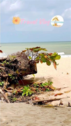 Simple Travel Vlog #travelvlog #simpledailylifestyle