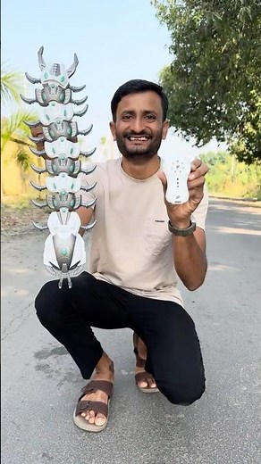 Remote Control Centipedes Unboxing