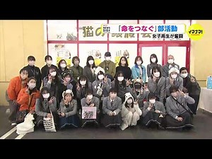女子高校生が“命をつなぐ部活動”「一匹でも多くの猫ちゃんが幸せになれたら」保護猫を…