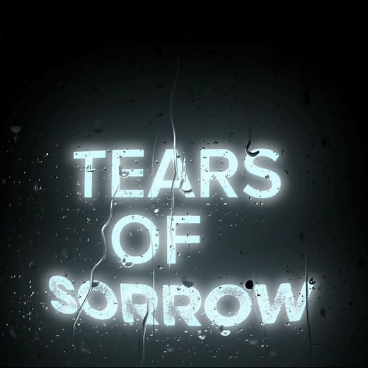 Warriyo - Mortals feat. Laura Brehm (Lyrics)#mortal#lyrics