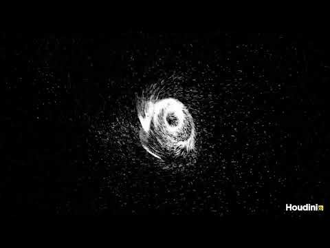 Houdini Particle Simulation, Singularity