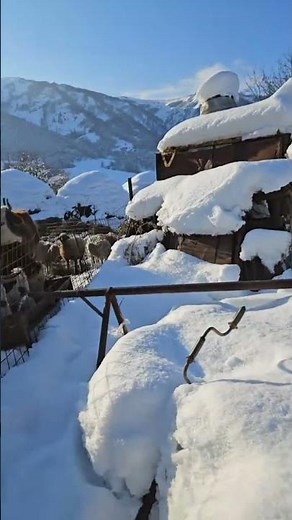 N am cerut comori de la tine viata