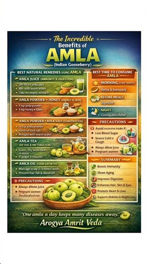 “Amla: Ayurveda’s Most Powerful Superfood 🌿: Benefits, Best Combinations & Ayurvedic Uses”