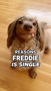 Better luck next year? ❤️‍🔥 #single #onthemarket #bachelor #loveme #catch | Oliveyoufreddie