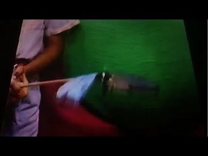 Barney's Home Sweet Homes 1998 VHS