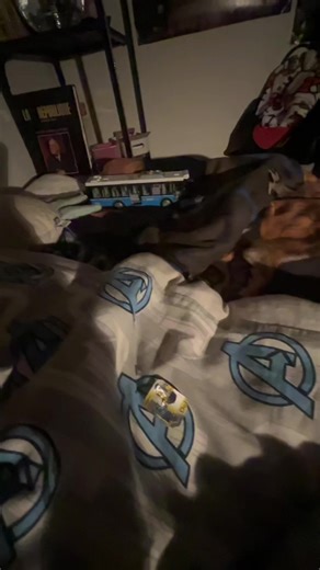 Vidéos de amiselmol (@amiselmol) avec original sound - amiselmol