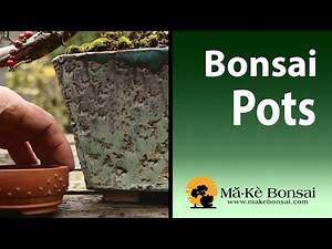 Bonsai Pots - Selection Guide - Bonsai Trees for Beginners Series #94