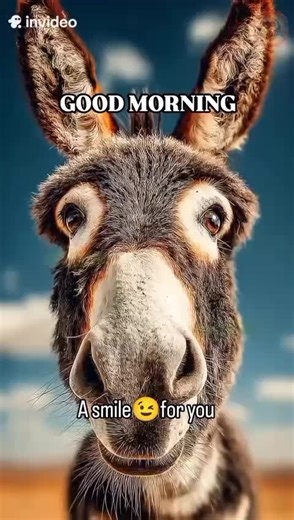 Pepek (@pepek5523)’s videos with Originalton - Pepek