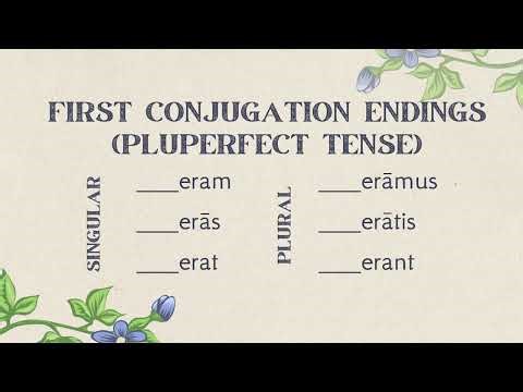 CC Cycle 2 Week 22 Latin | First Conjugation Endings (Pluperfect Tense)