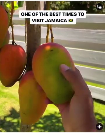 154K views · 1.8K reactions | #jamaica #reggae #music | Roots Reggae | Facebook