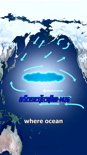 🌊A fascinating look at ocean currents and how they move heat around our planet.🌊