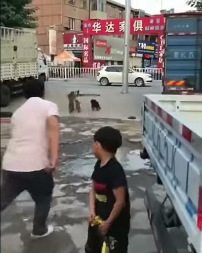 This Monkey Riding a Bike is a Real Badass