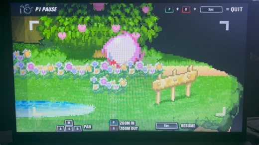 HD Scenario | SSF2 Project B Amy clips . . . Follow @hdscenario for more awesome content . . . #ssf2 #supersmashflash2 #smashbrosultimate #smash... | Instagram