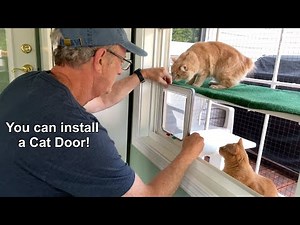Cat Door Install DIY!