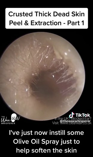 The Wax Whisperer on TikTok