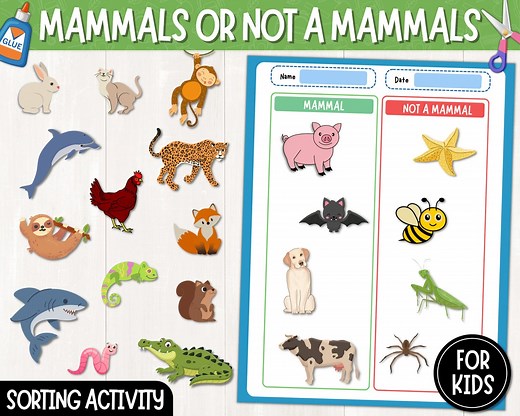 Mammal Vs. Not a Mammal Picture Sort | Animals Sorting Activity | Animal Classification Printable Activity Sheets | Digital Download | PDF - Etsy