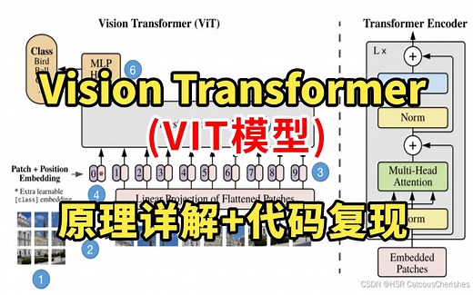 Vision Transformer(ViT)模型原理及代码逐行详解，原理详解+代码复现（深度学习/计算机视觉）